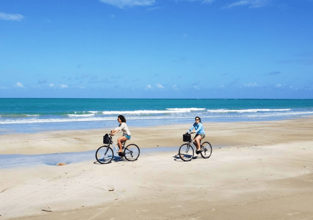 o que fazer Tamandaré Pernambuco