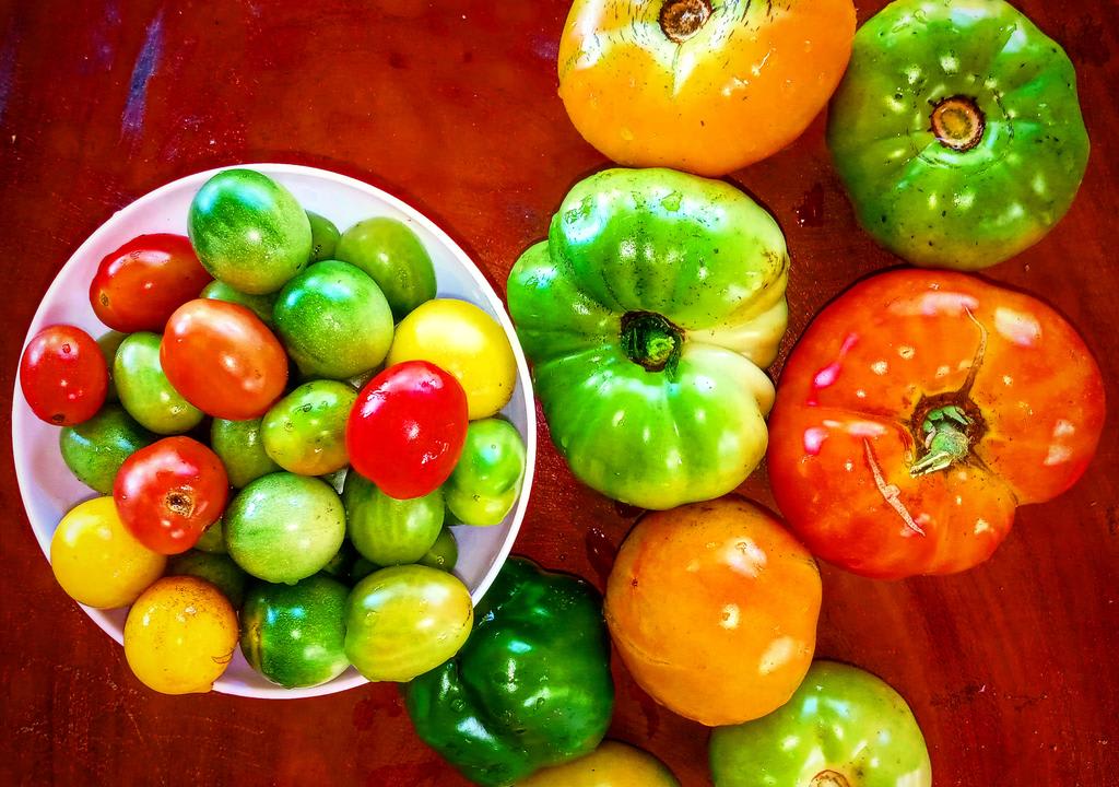 origins-of-organic-food