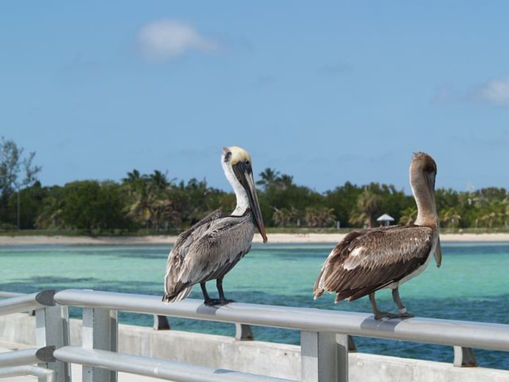 Top 10 Things to Do in Key West, Florida