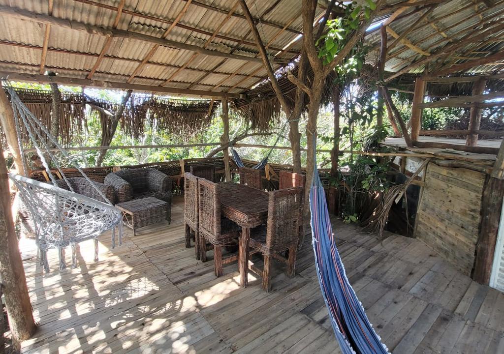 casa na árvore