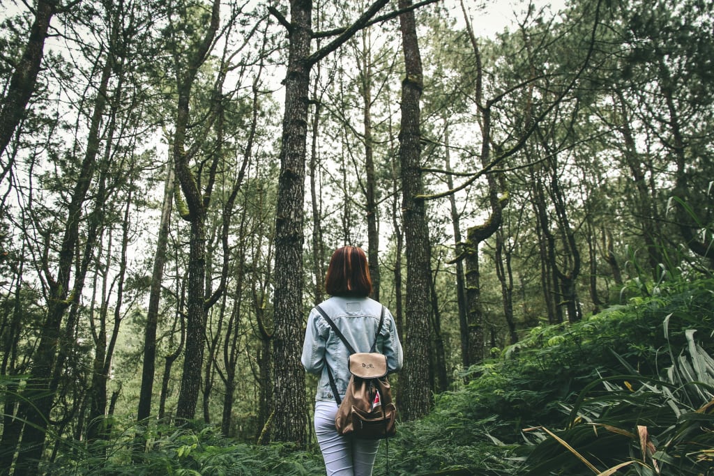 contato-com-a-natureza