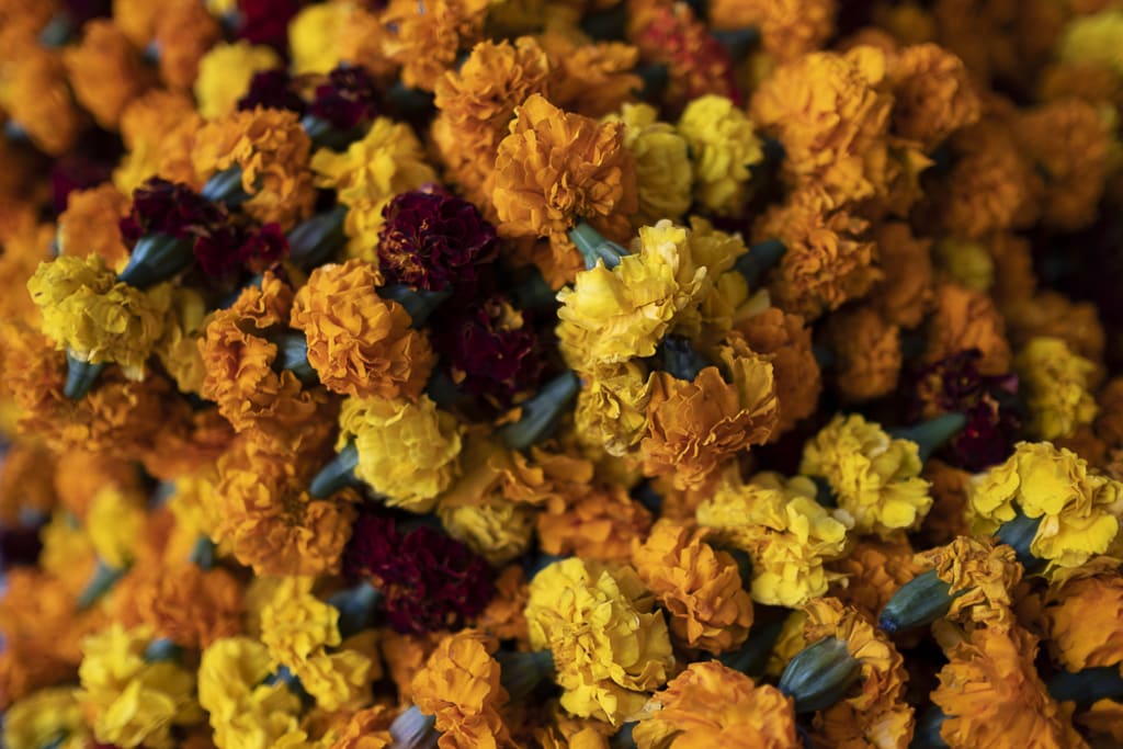 10-lugares-recomendados-para-visitar-en-nueva-delhi