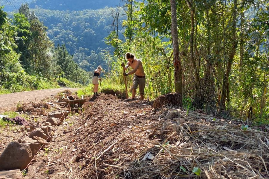 How to Live Off the Grid with No Money A Practical Guide