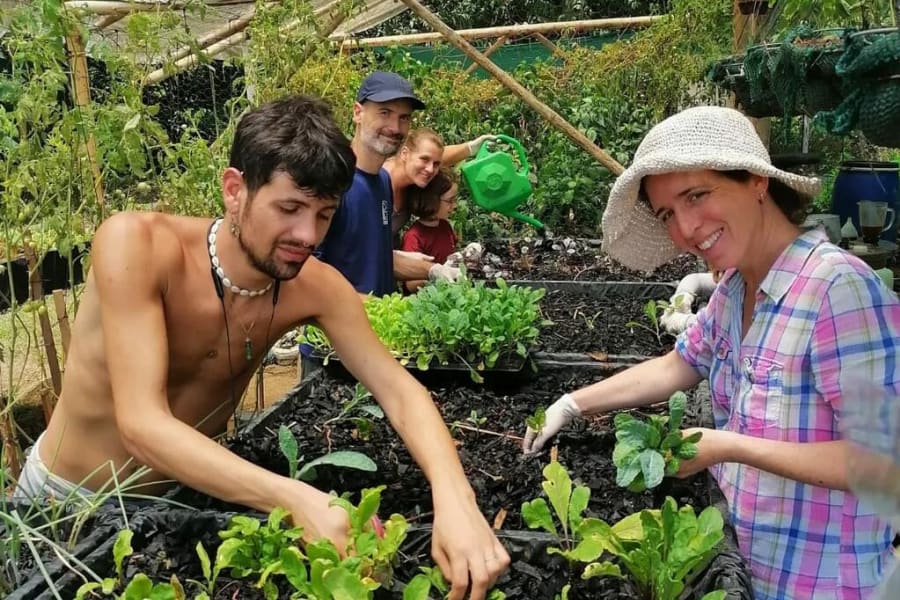 Exploring rural life Exciting "farms near me" to visit