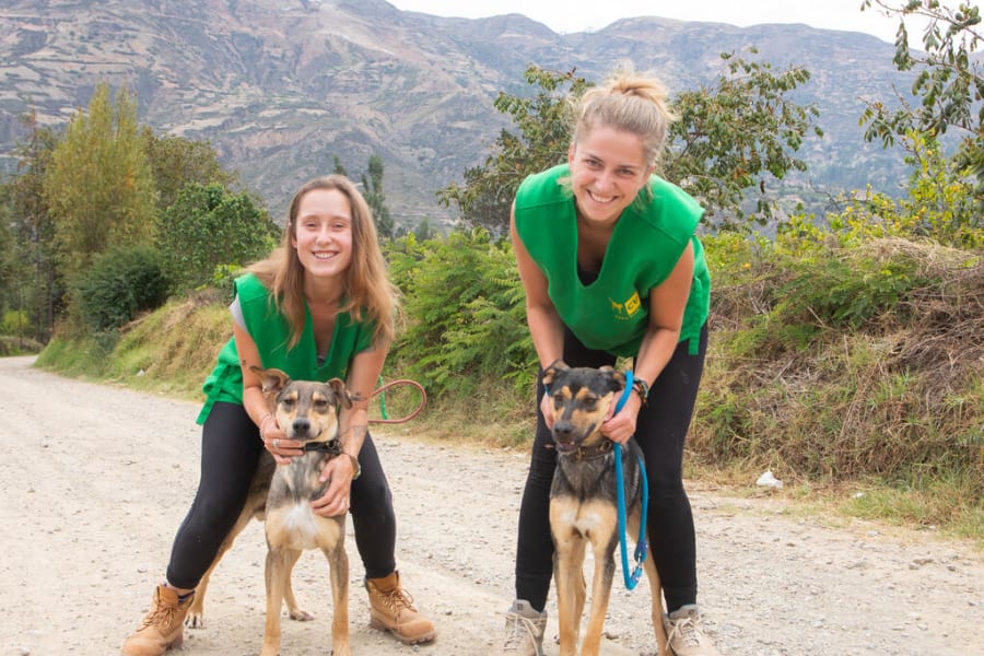 ¿Qué es un albergue de animales? Objetivos, funciones y cómo ayudar...