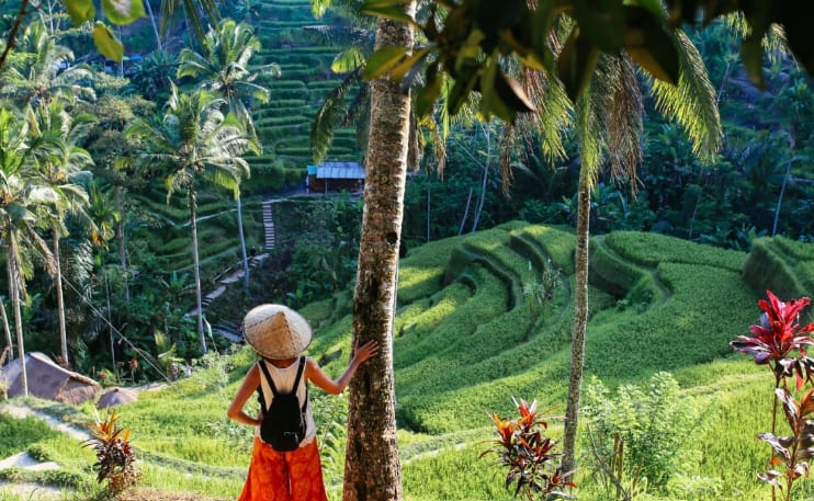 traveler looking at rice fields in ubud, indonesia