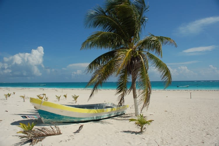 qué hacer acerca de playa del carmen