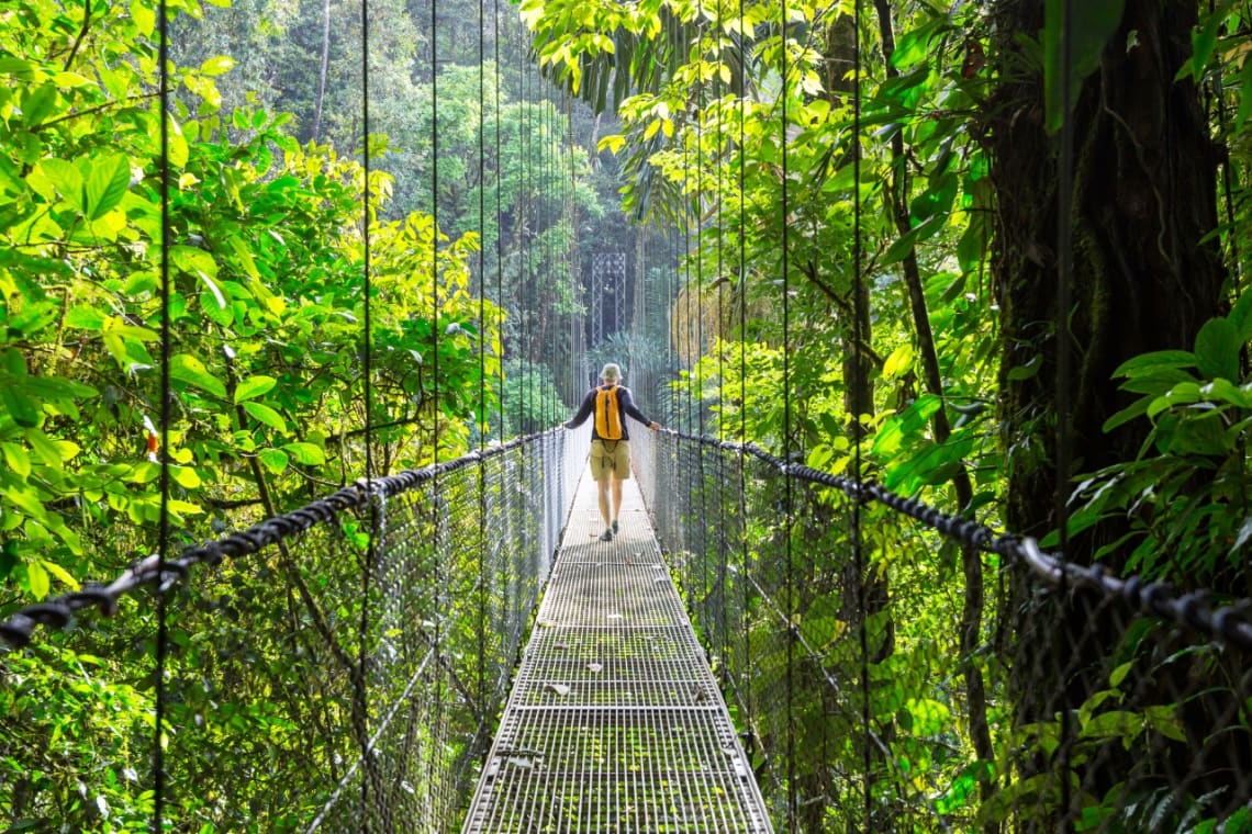 Tourist walking on a hanging bridge over tropical rainforest