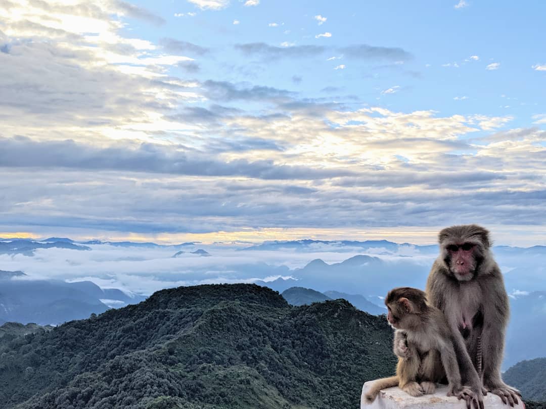 Experiencias únicas con la libertad de viajar gratis&nbsp;