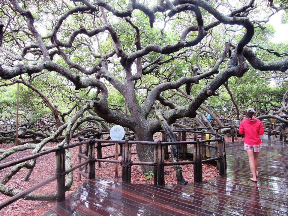 viajar de bike rota do solcajueiro de pirangi