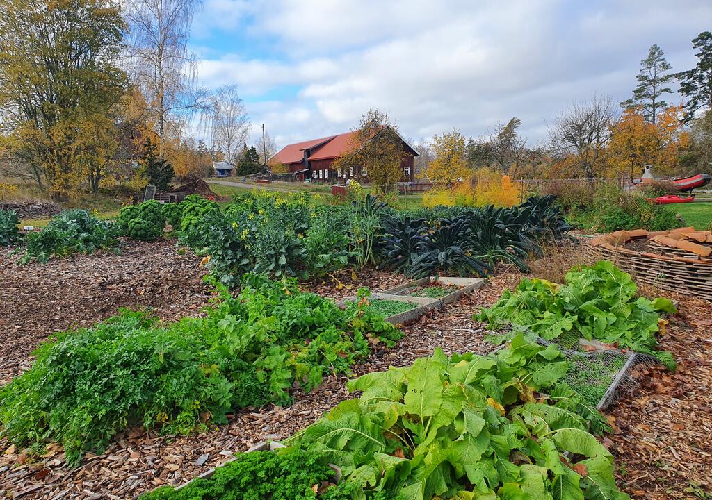 a self sustaining farm