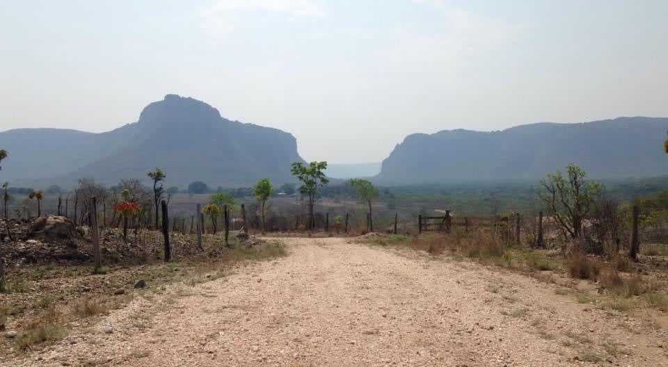 Paisagem no Pantanal