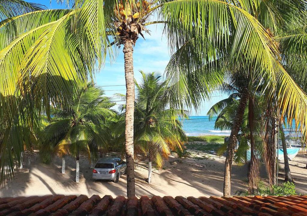  Mejores Anfitriones maragogi 