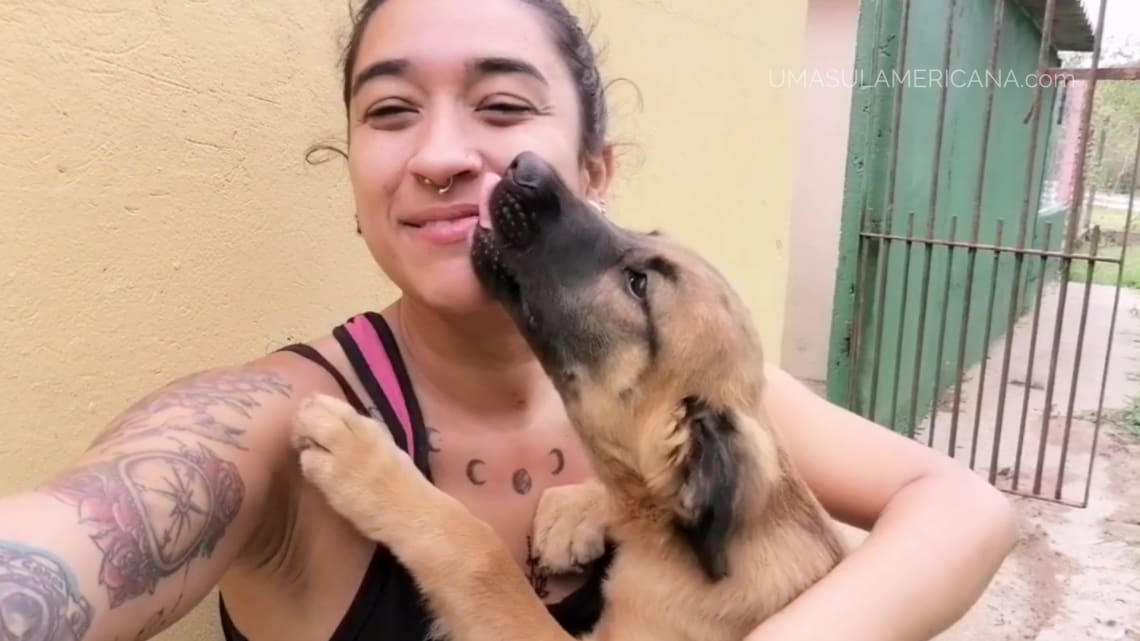 Voluntariado em Ubatuba em ONG para cachorros
