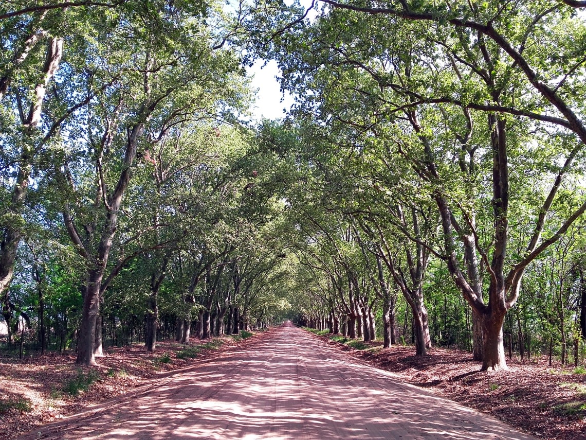 que hacer en cordoba argentina turismo