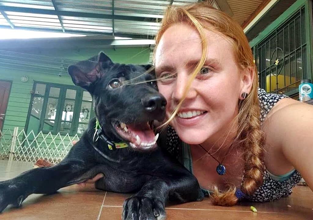 Girl with a dog in a house sitting job