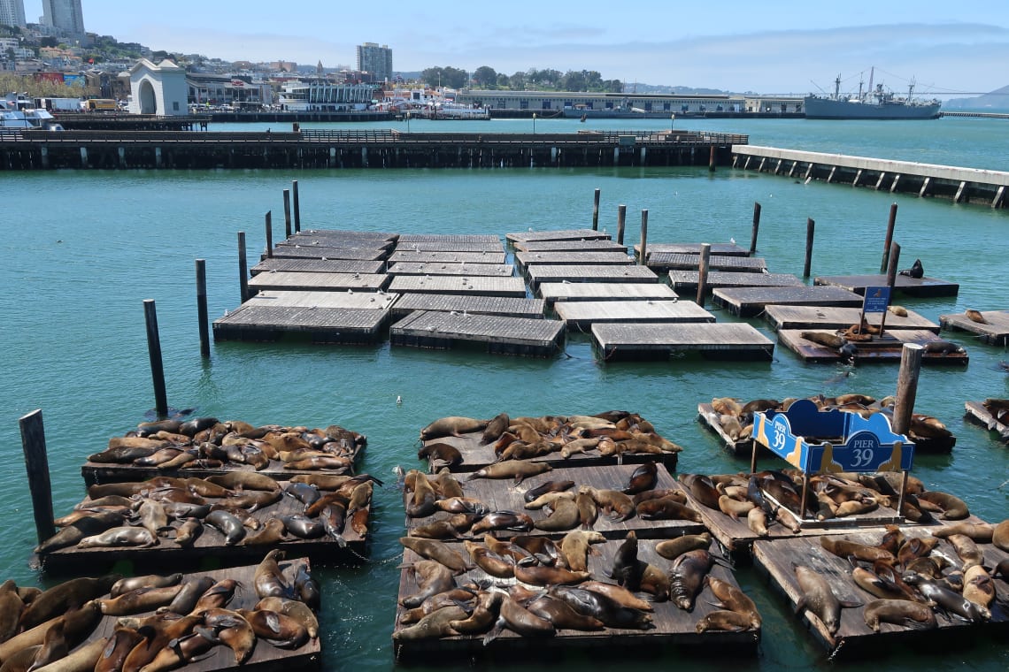 O que fazer em San Francisco: Pier 39&nbsp;