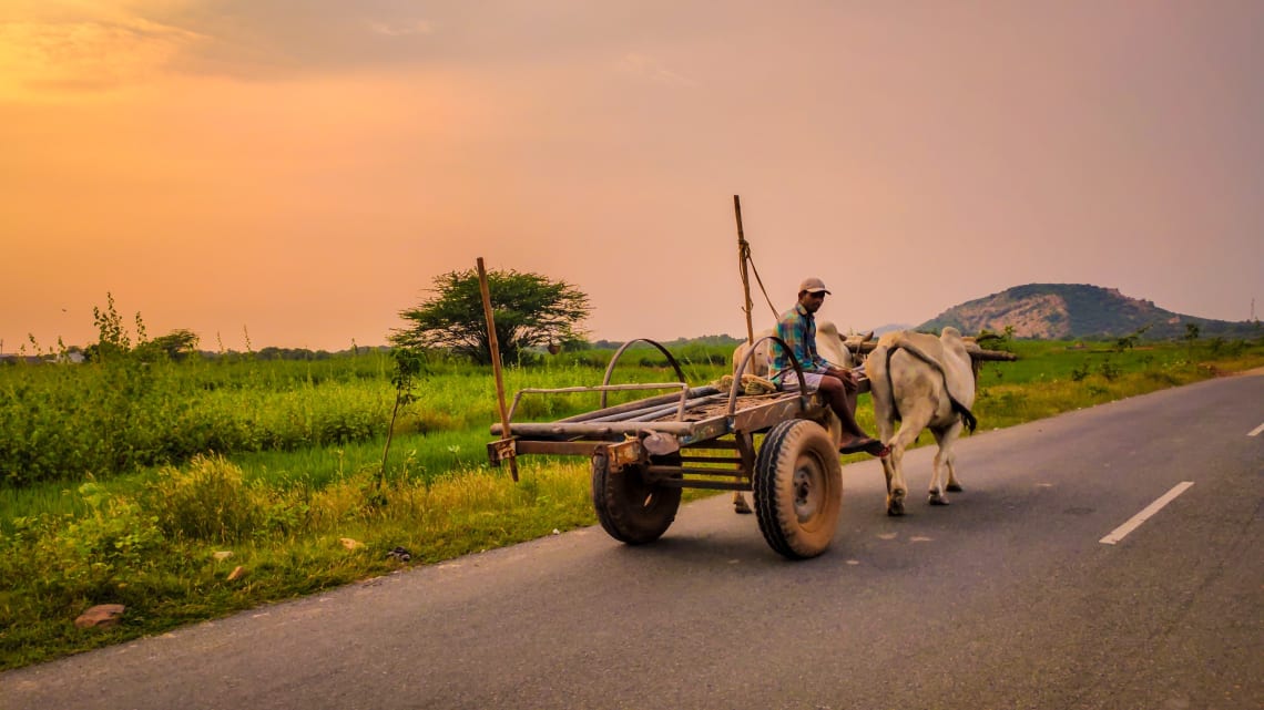 eco tourism example in india