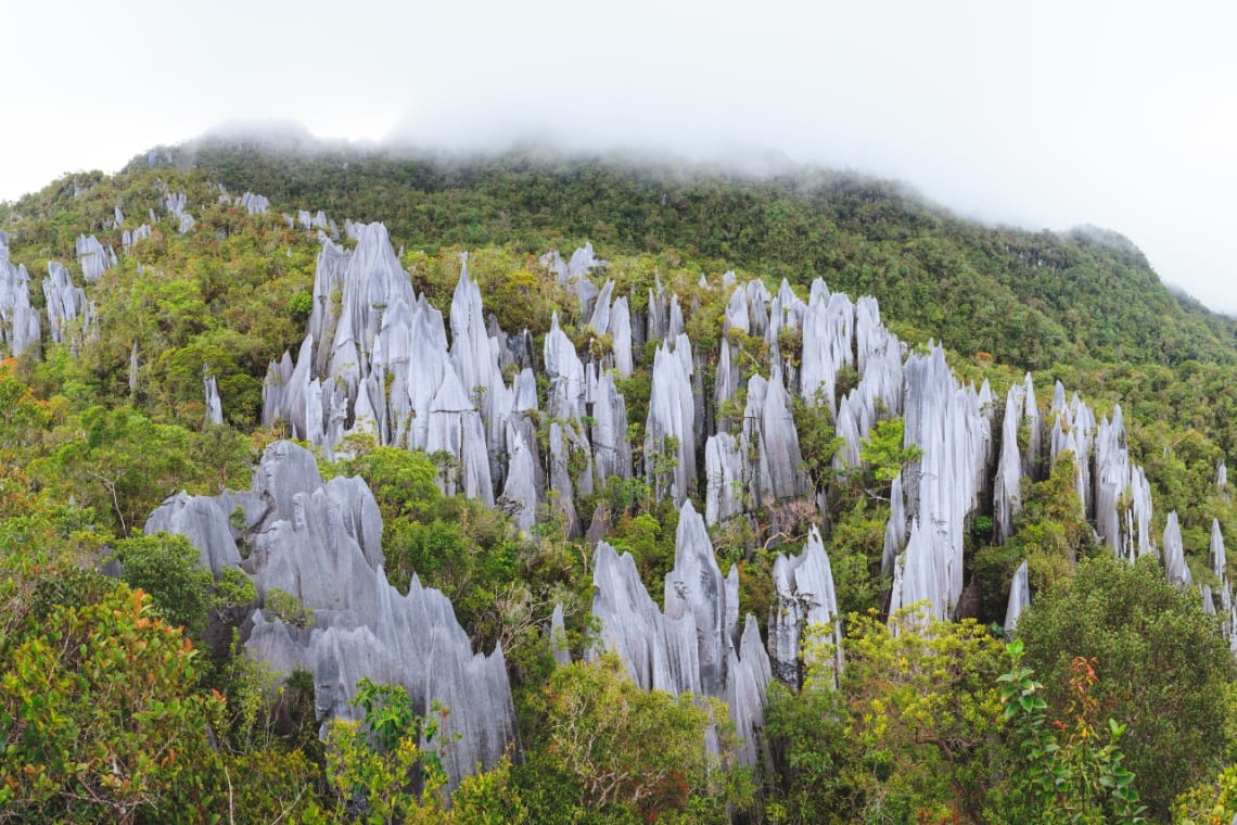 Pináculos de piedra emergiendo de la selva en el Parque Nacional Gunung Mulu