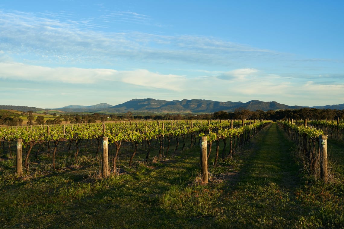 you can go wine tasting in Australia