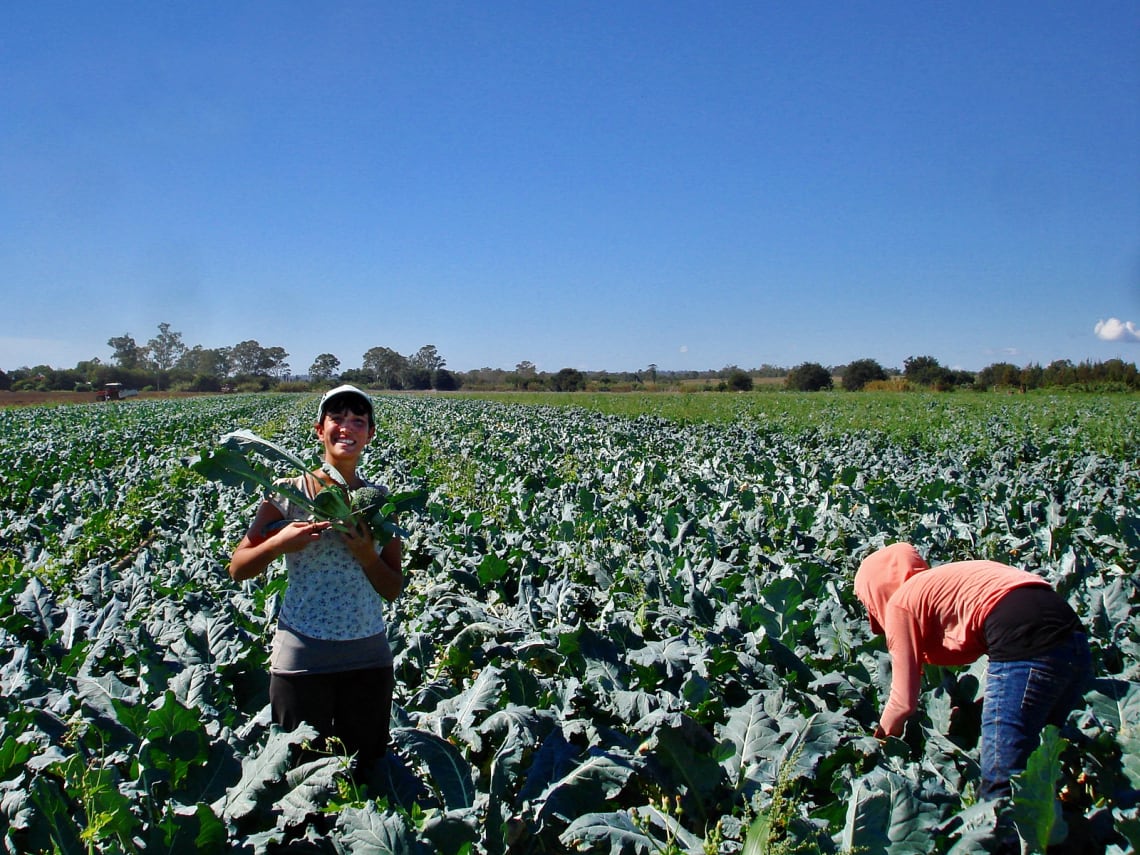 contribuye con proyectos ecológicos
