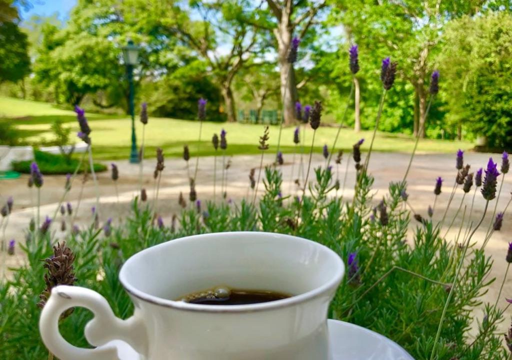  Mejores Anfitriones mairinque 