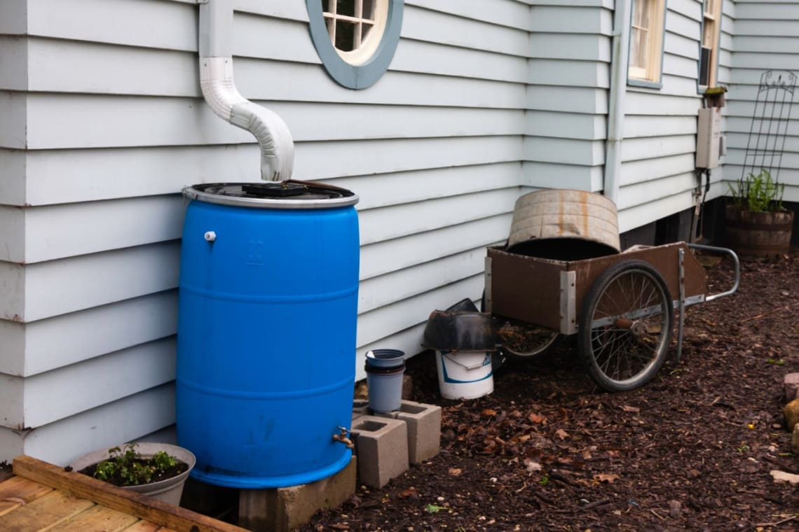 vida sustentable: balde debajo de canaleta para recoger agua de lluvia
