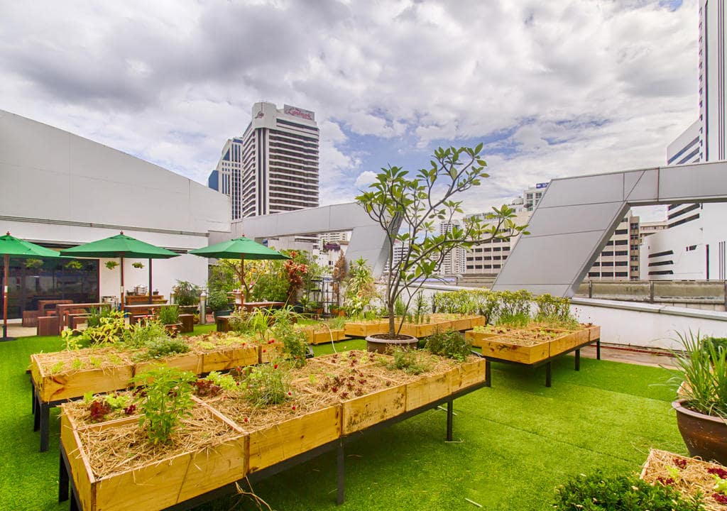  Mejores Anfitriones Tailandia 