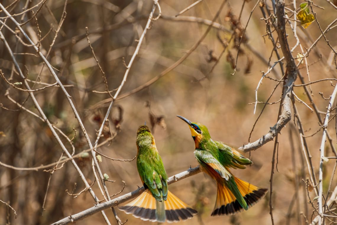 lake manyara national park