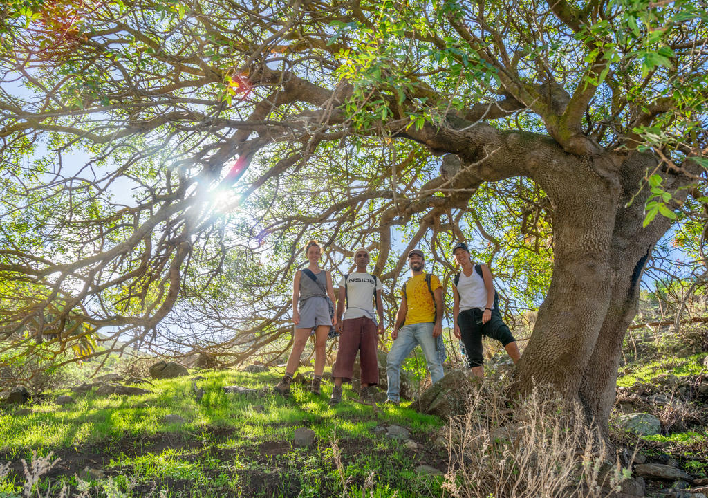 que-recorrer-en-europa