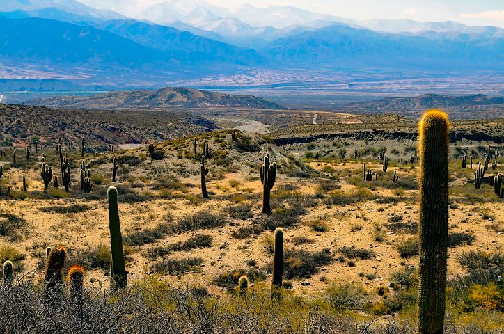 Cómo organizar un viaje por Argentina desde cero - Worldpackers - NOA - norte de Argentina