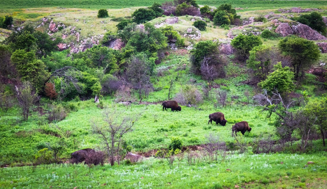 USA travel guide: Oklahoma