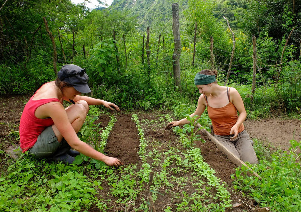 Two grils doing planting on a farm