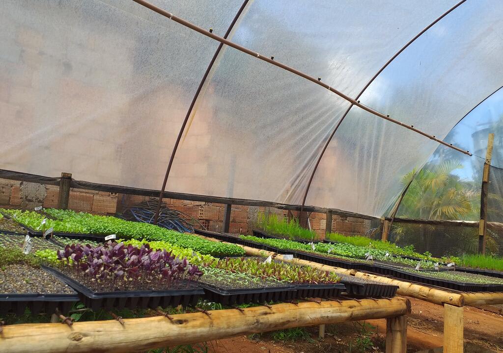 voluntariado em agricultura orgânica