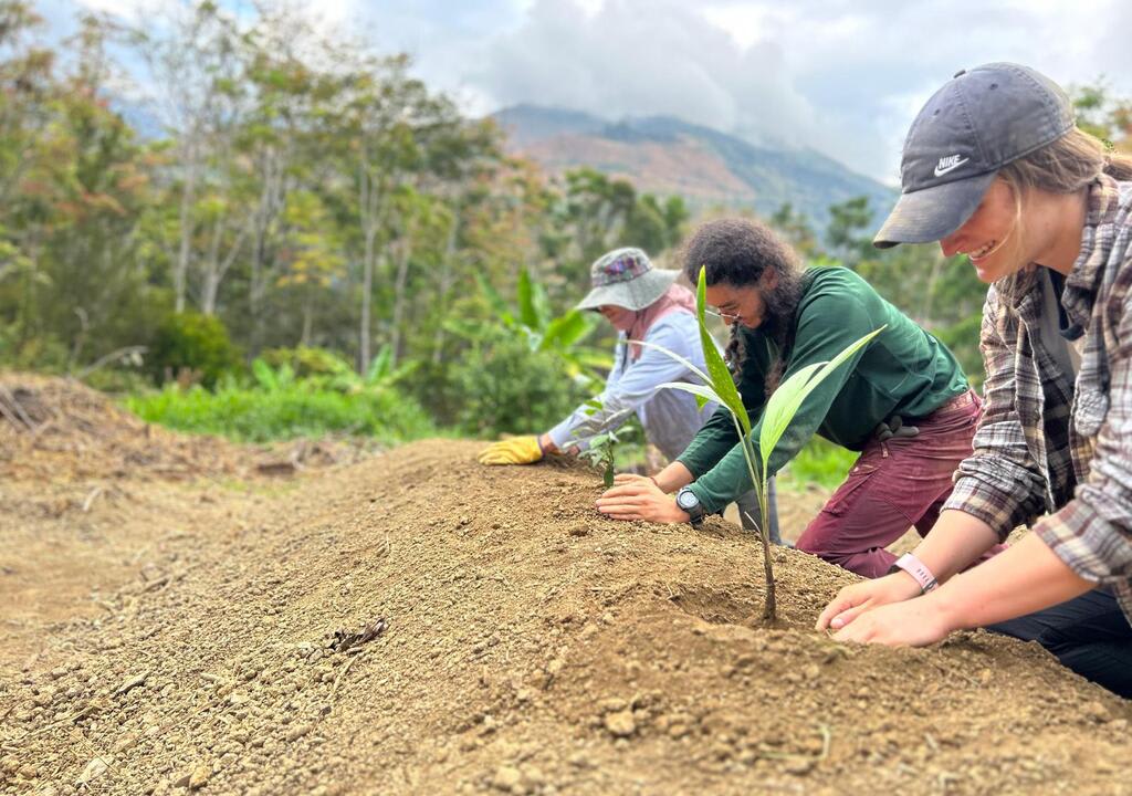 Farms near me to visit: volunteers planting trees