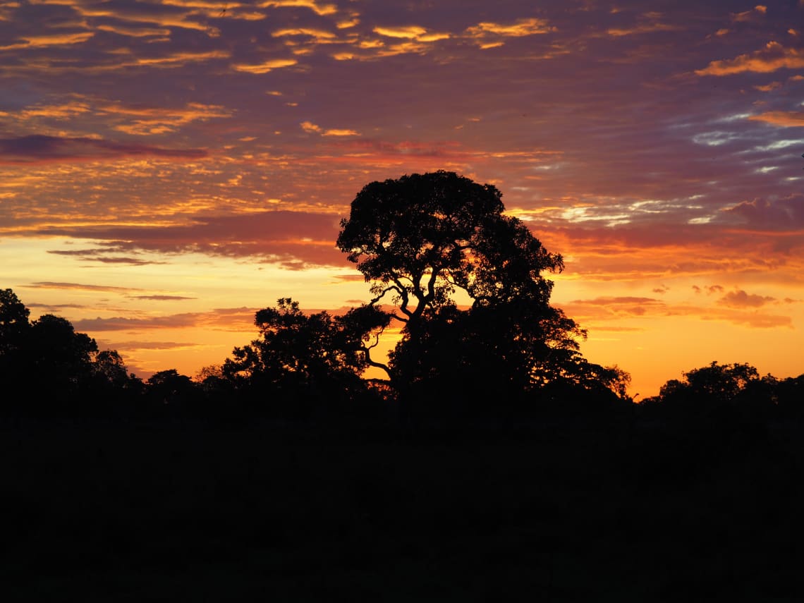 Fim de tarde no Pantanal