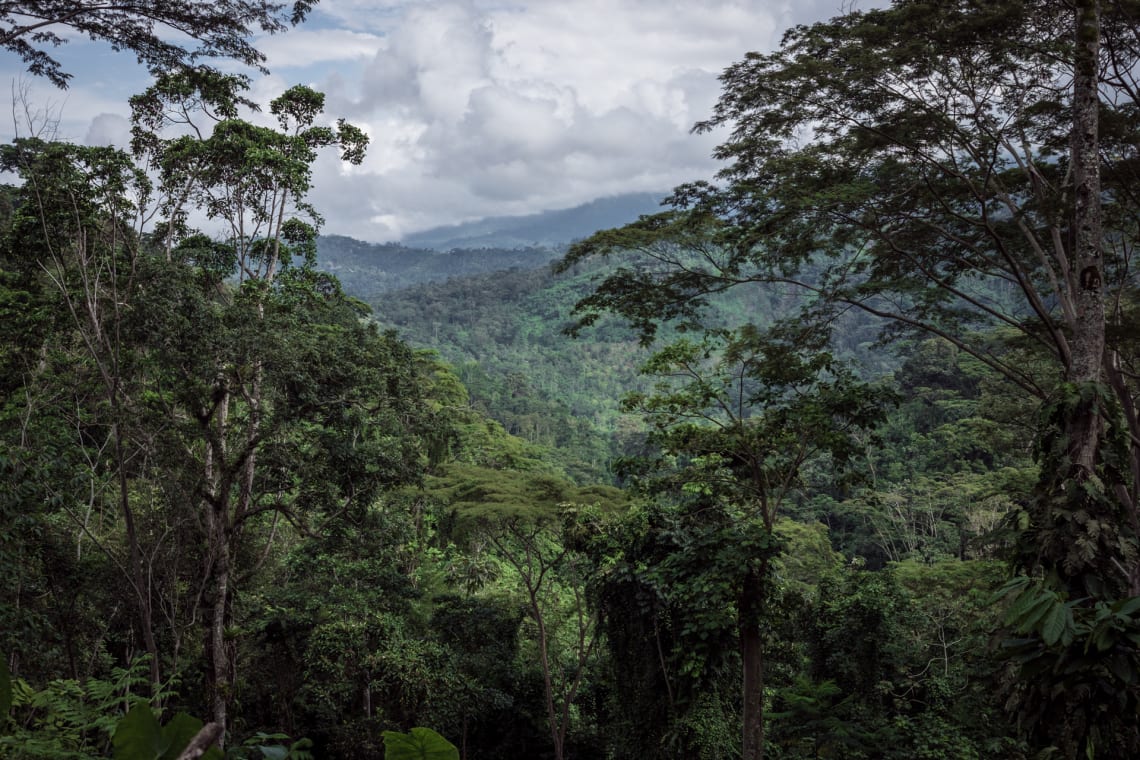 Seis meses haciendo voluntariados en Colombia - Worldpackers