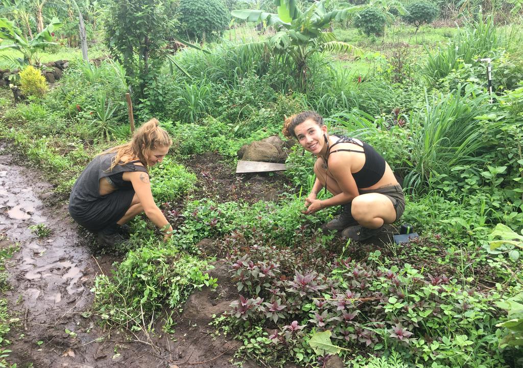 Dos chicas desmalezando en una granja de agricultura ecológica