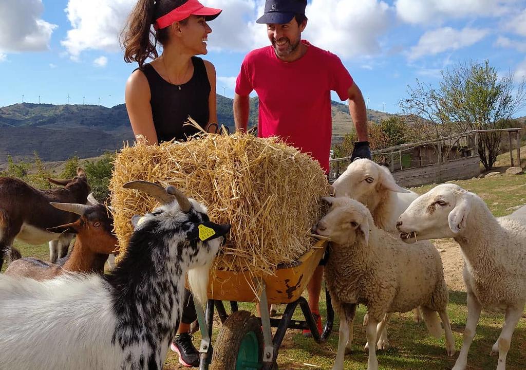 Hombre y mujer en un voluntariado internacional en una granja con animales