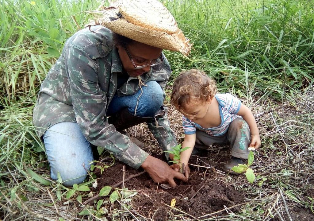 voluntariado em escola