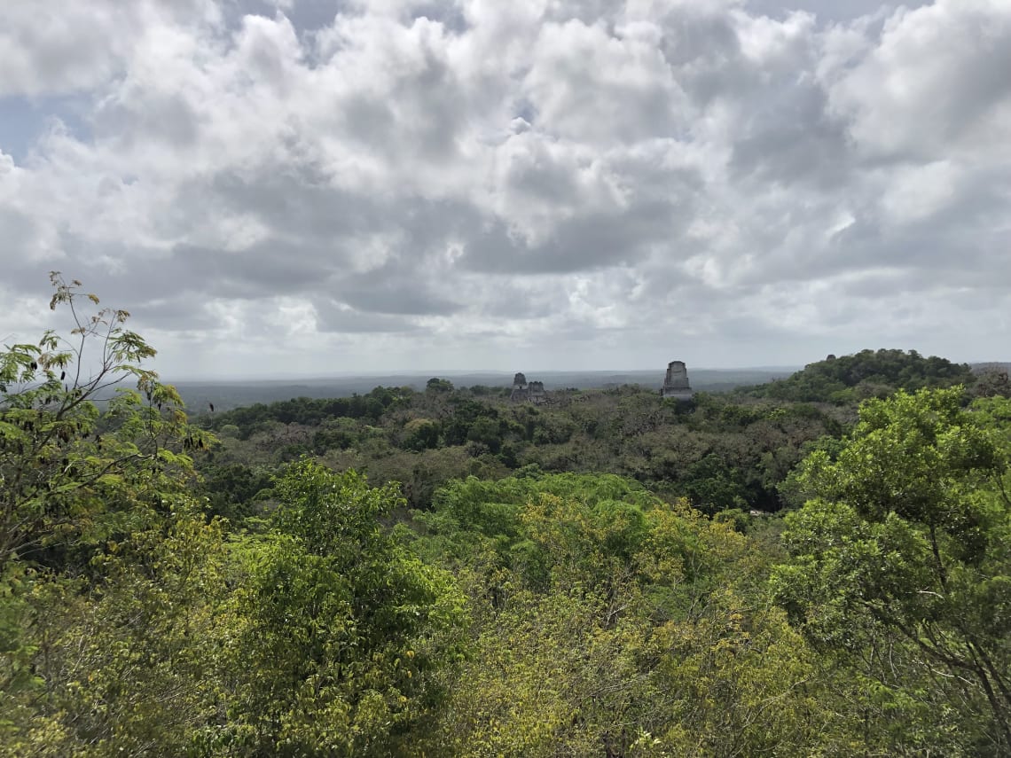 Vista de la selva y ruinas mayas desde un mirador