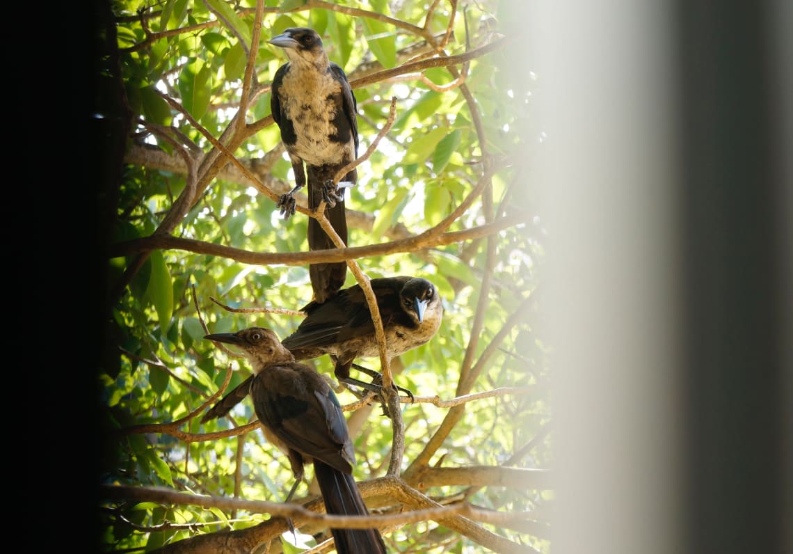 parque-tayrona-quando-ir