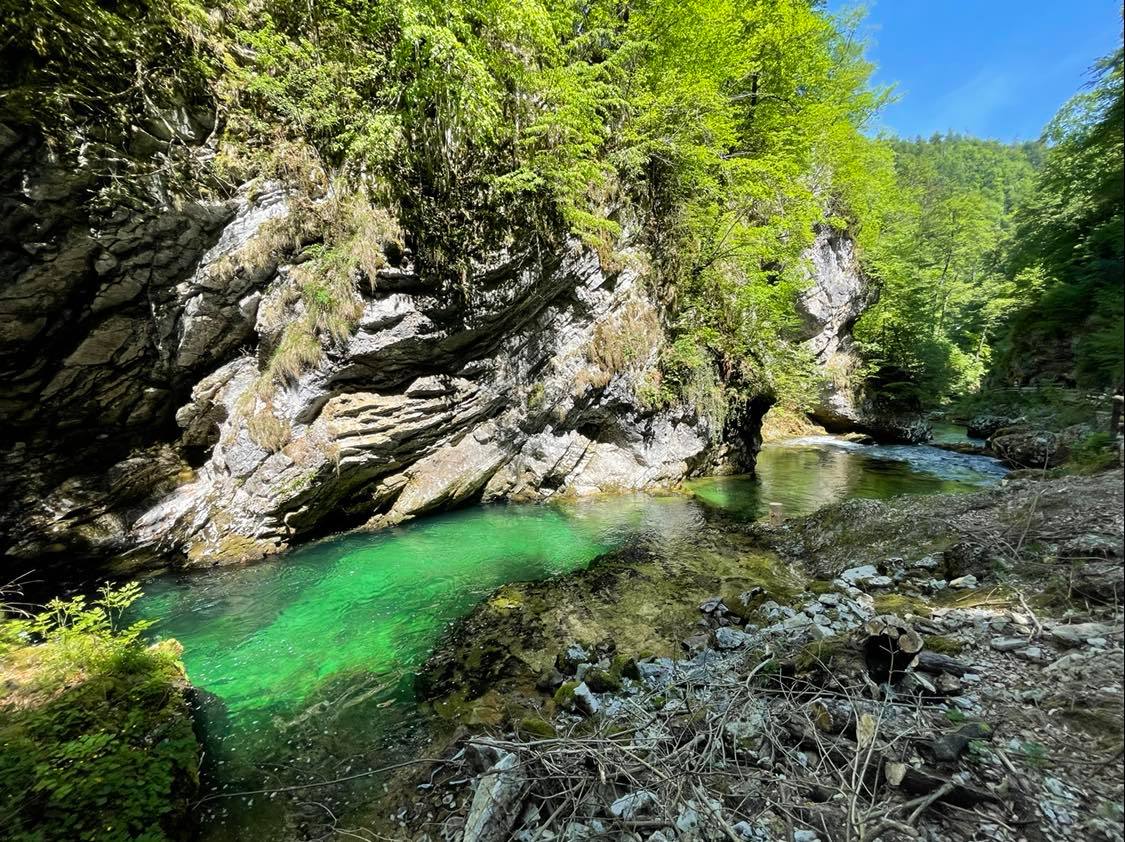 Turquoise color water in Vintgar Gorge, Slovenia
