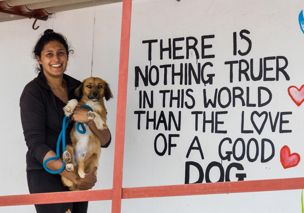 voluntária em um abrigo que resgata cachorros