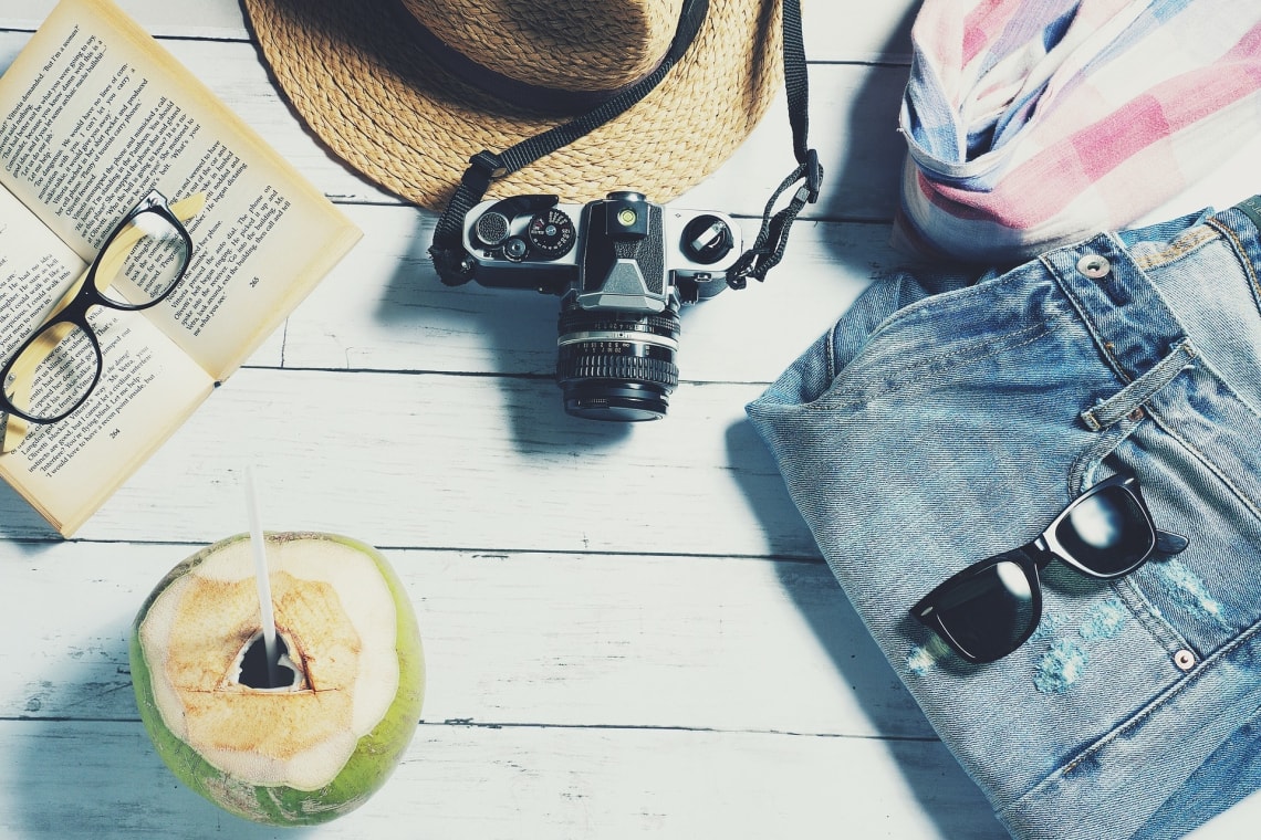 Book, camera, hat, sunglasses, and coconut