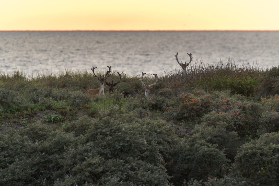 Noordwijk, Netherlands