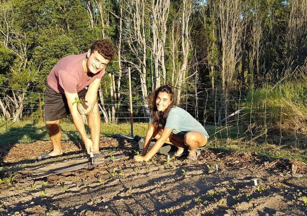 Farm work: volunteer in Australia