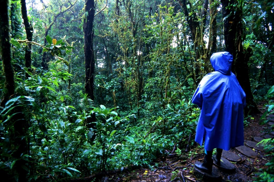 Viajero con capa de lluvia en el Bosque nuboso de Monteverde, , uno de los mejores destinos de ecoturismo