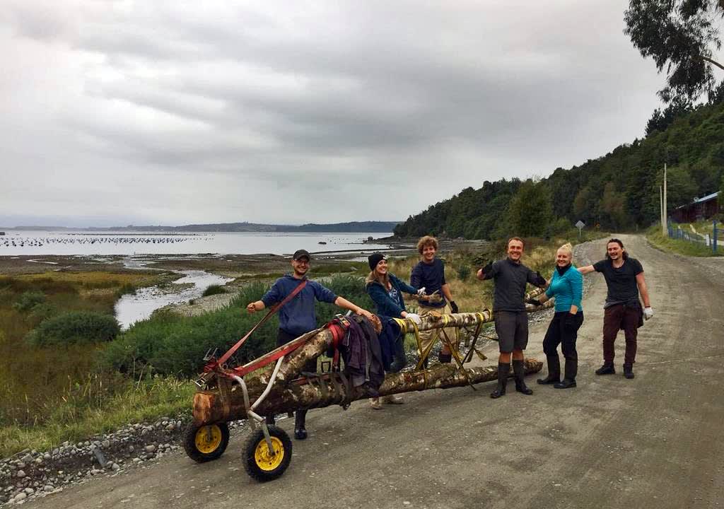 Grupo de voluntarios transportando troncos en Patagonia chilena