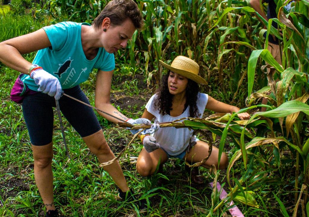  comunidade sustentável no equador